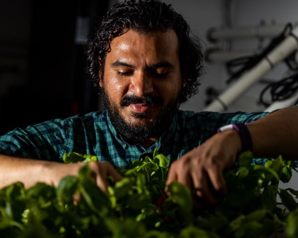 research assistant observes plant behavior by touching leaves