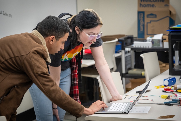 SSE Students assess a data set