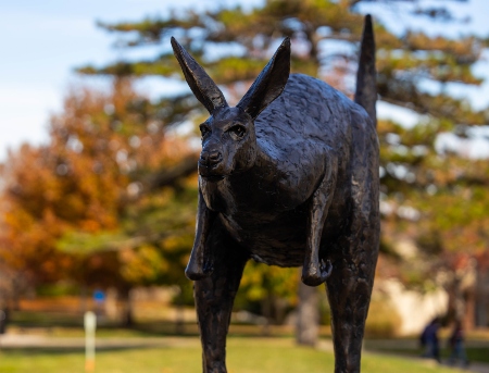 威尼斯人娱乐城's campus Roo statue taken on a fall day with trees behind the statue